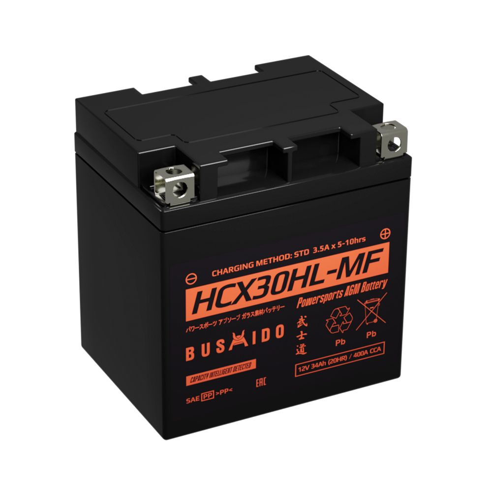 Аккумуляторы BUSHIDO BUSHIDO HCX30HL-MF купить 8 906 062 07 78