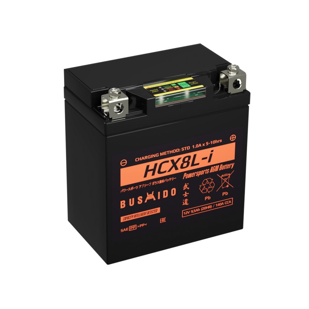 Аккумуляторы BUSHIDO BUSHIDO HCX8L-i купить 8 906 062 07 78