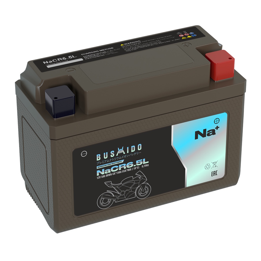 Аккумуляторы BUSHIDO BUSHIDO NaCR6,5L купить 8 906 062 07 78