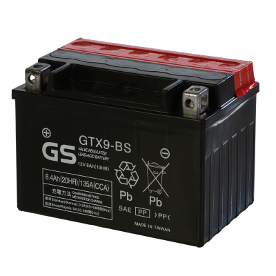 Аккумуляторы GS YUASA GS GTX9-BS купить 8 906 062 07 78