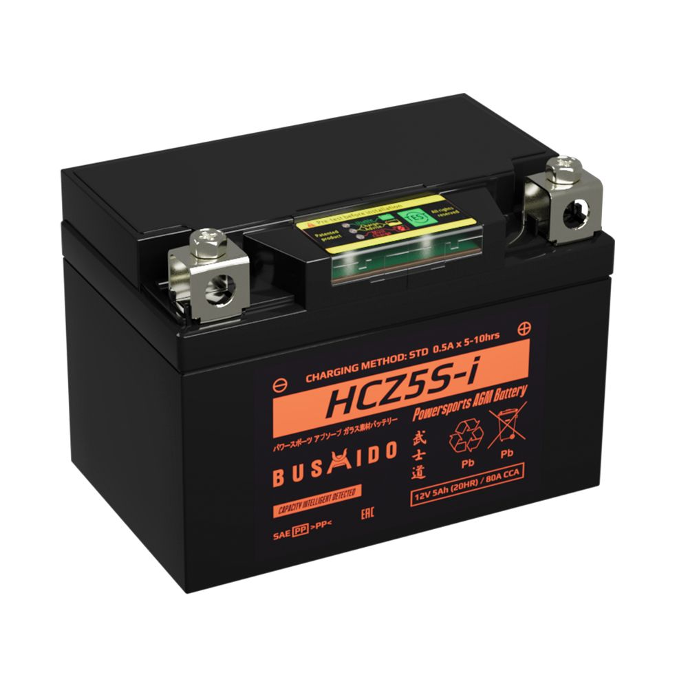 Аккумуляторы BUSHIDO BUSHIDO HCZ5S-i купить 8 906 062 07 78