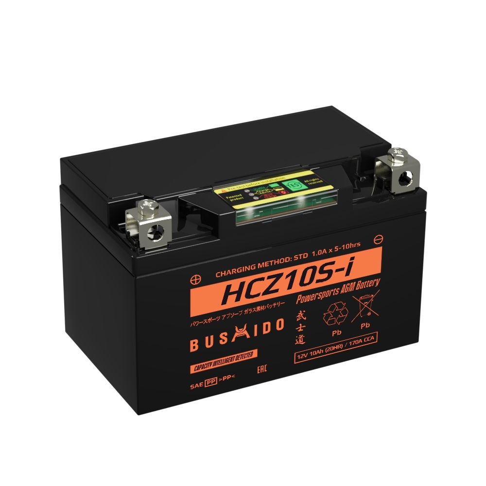 Аккумуляторы BUSHIDO BUSHIDO HCZ10S-i купить 8 906 062 07 78