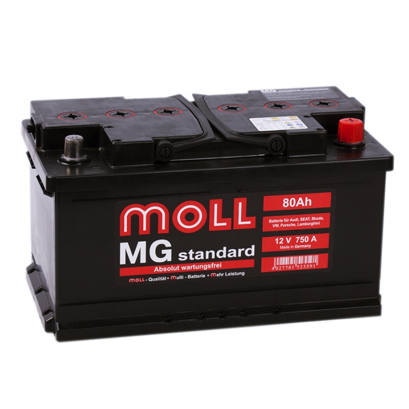Аккумуляторы MOLL MOLL MG 80SR купить 8 906 062 07 78