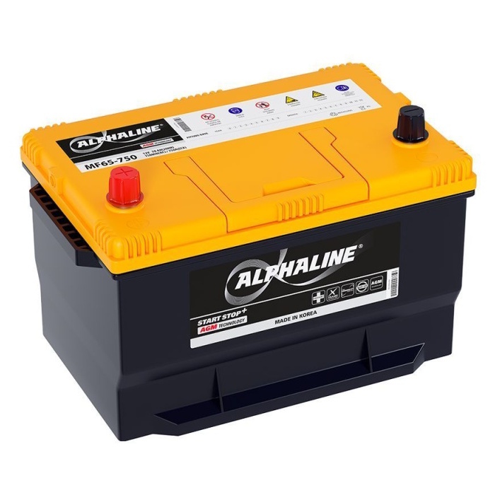 Аккумуляторы ALPHALINE ALPHALINE AGM 65-750 купить 8 906 062 07 78
