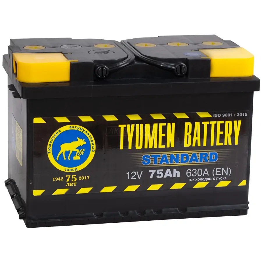 Аккумуляторы Тюмень ТЮМЕНЬ Standard 6CT-75.0 купить 8 906 062 07 78