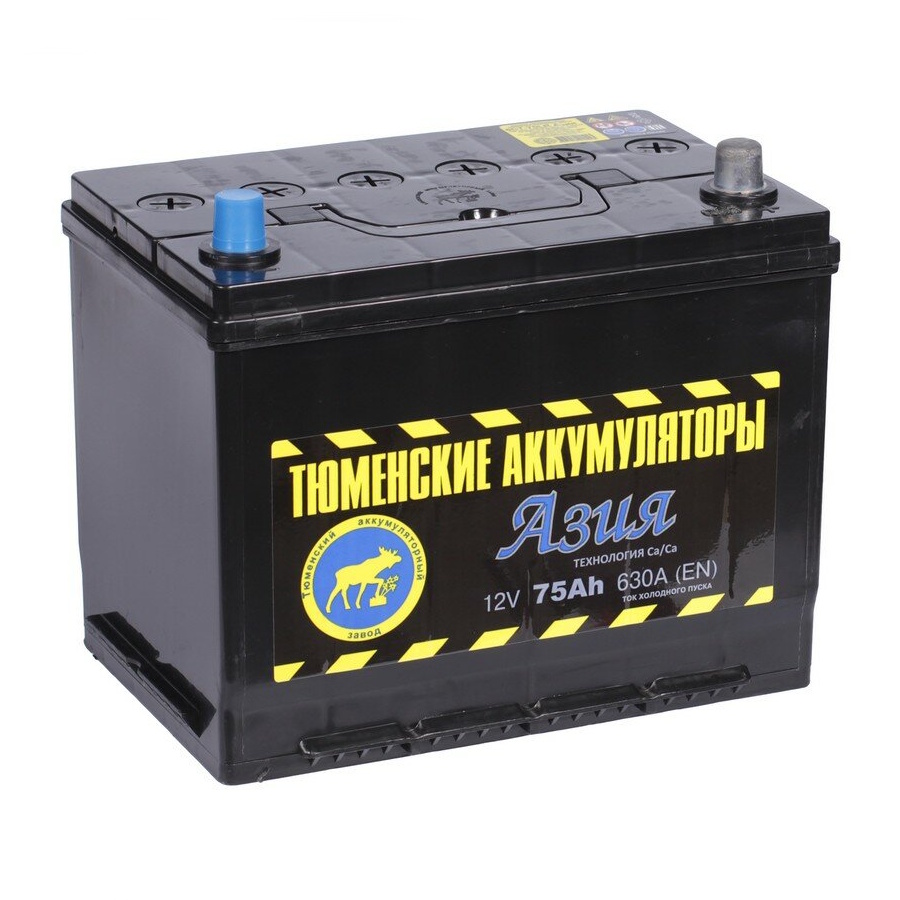 Аккумуляторы Тюмень ТЮМЕНЬ Asia D26L 6CT-75.0 L купить 8 906 062 07 78