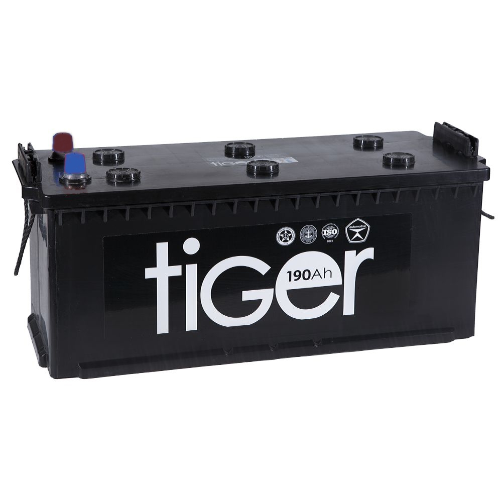 TIGER Tiger 190Euro купить 8 906 062 07 78