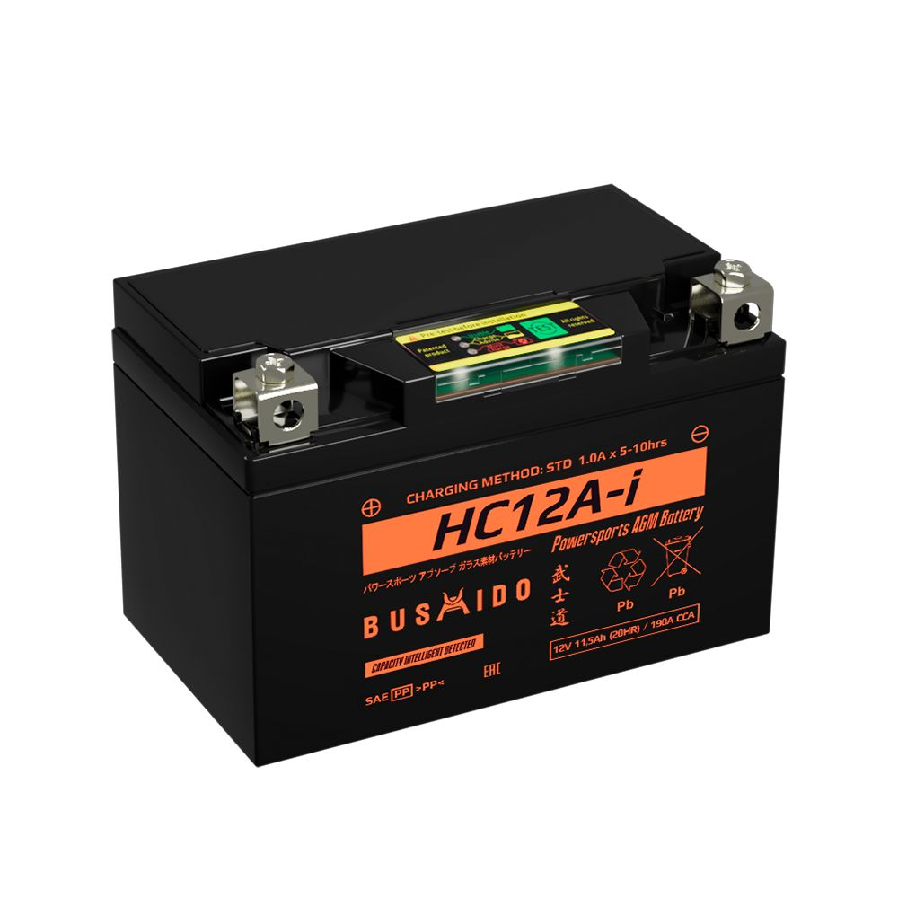 Аккумуляторы BUSHIDO BUSHIDO HC12A-i купить 8 906 062 07 78