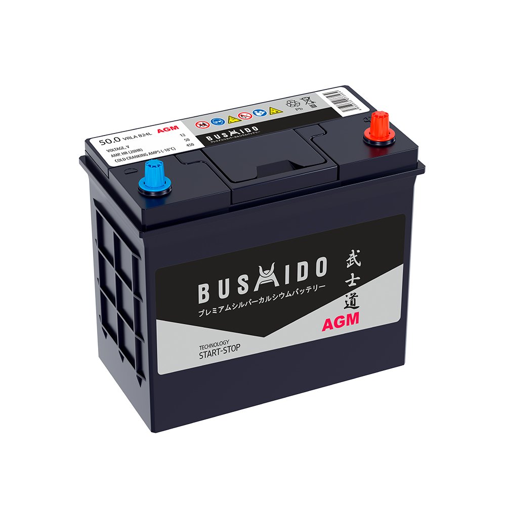 Аккумуляторы BUSHIDO BUSHIDO AGM B24L купить 8 906 062 07 78