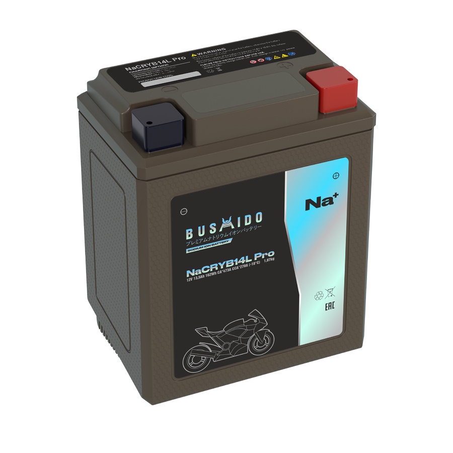 Аккумуляторы BUSHIDO BUSHIDO NaCRYB14L pro купить 8 906 062 07 78