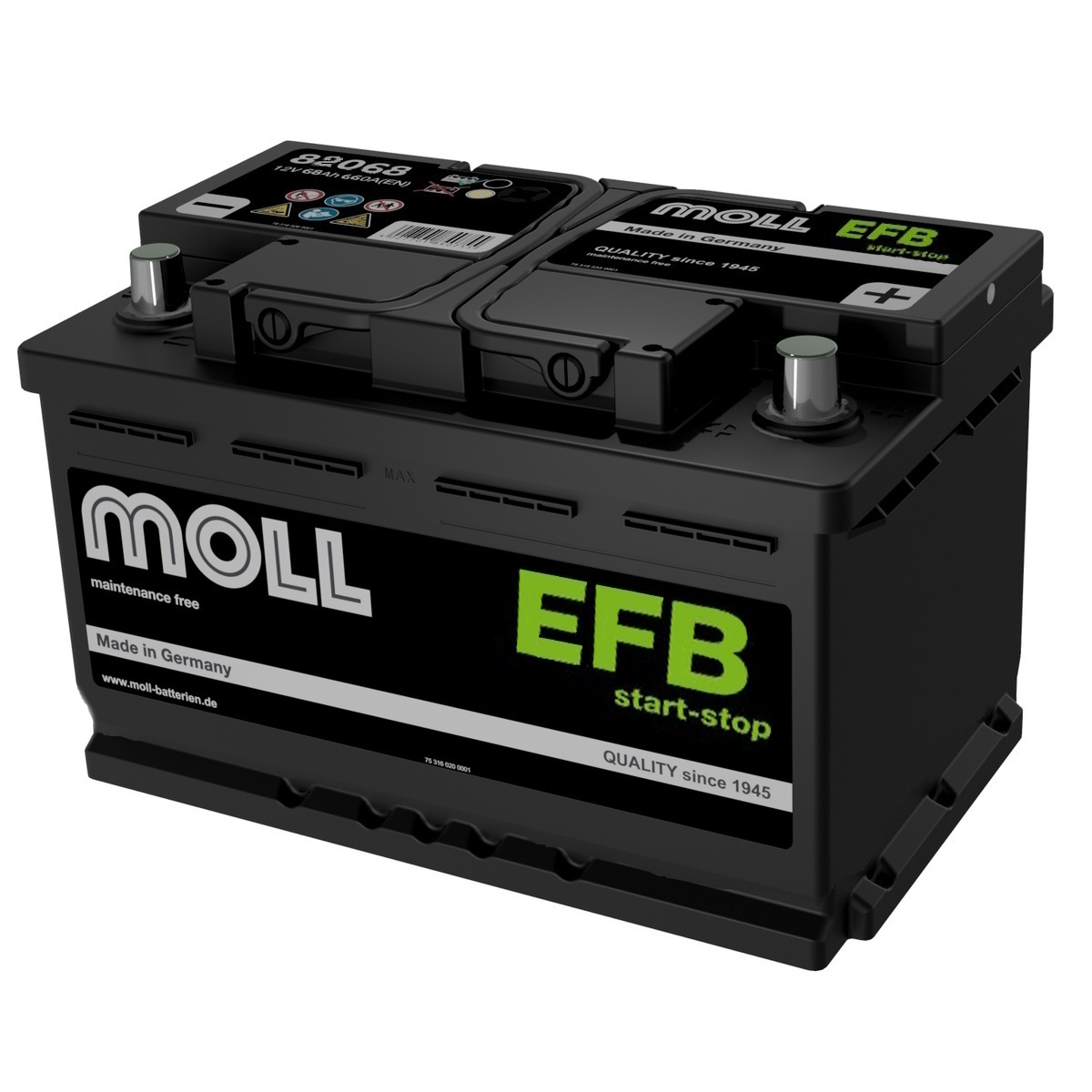 Аккумуляторы MOLL MOLL EFB 68R купить 8 906 062 07 78